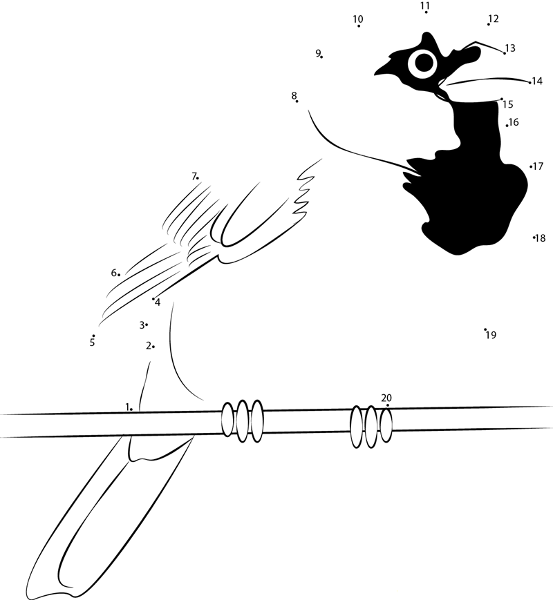 House Sparrow At North America printable dot to dot worksheet