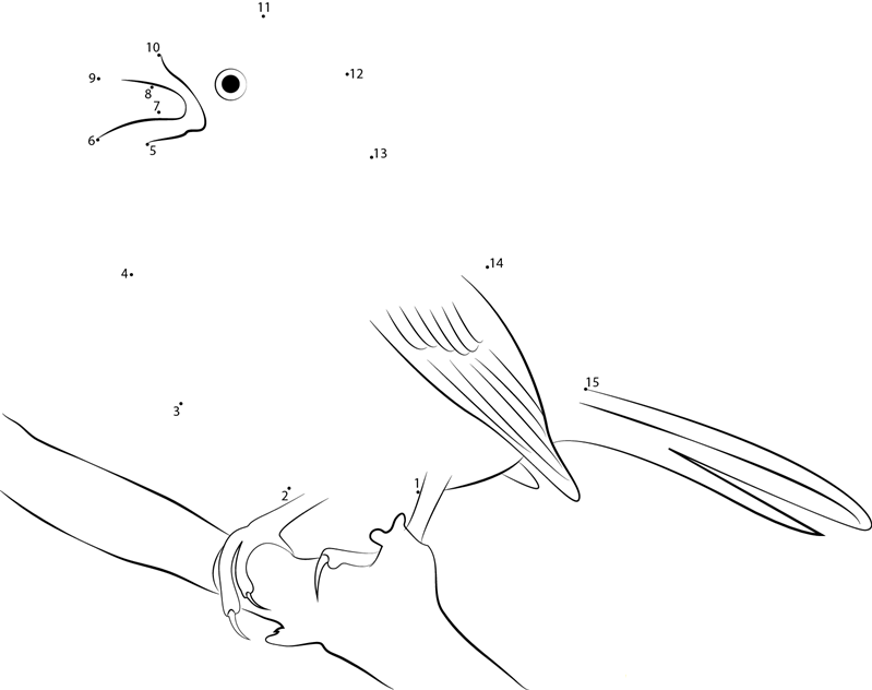 House Sparrow Calling printable dot to dot worksheet