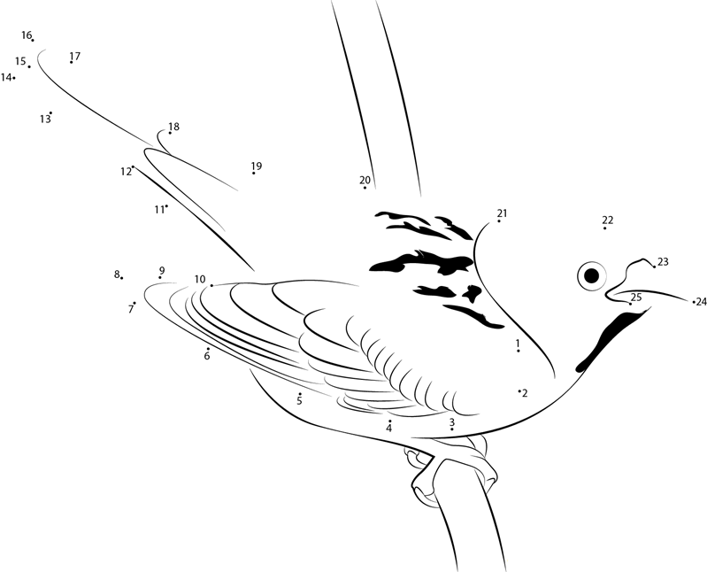 Passer Domesticus printable dot to dot worksheet