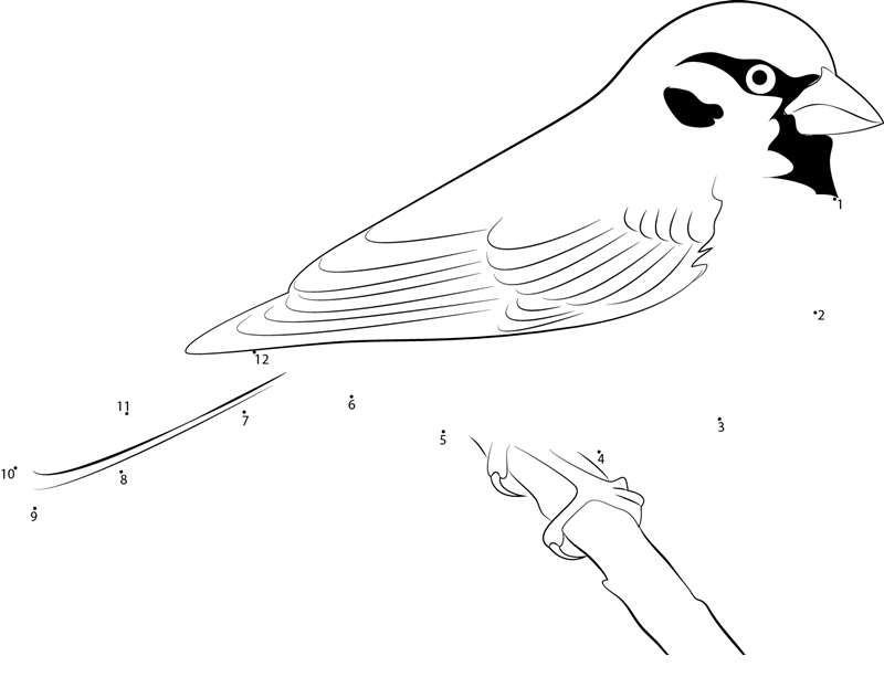 Sparrow Hanging On Fat Cage Feeder printable dot to dot worksheet