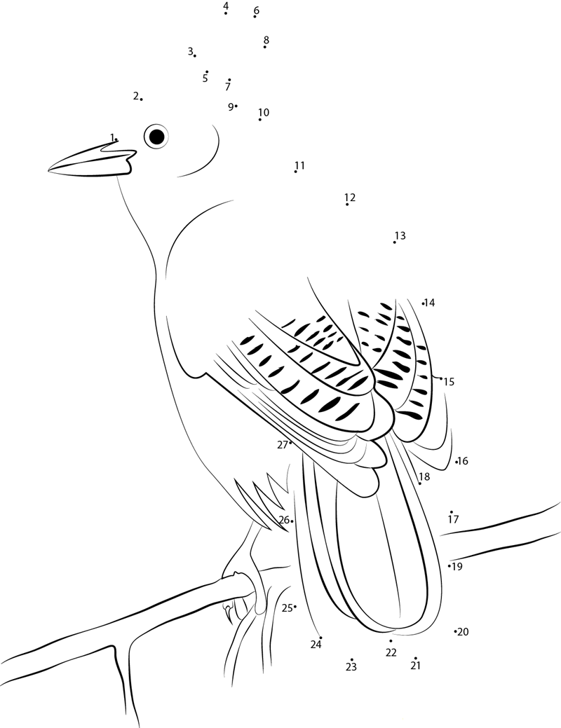 Cute Steller X27 S Jay printable dot to dot worksheet