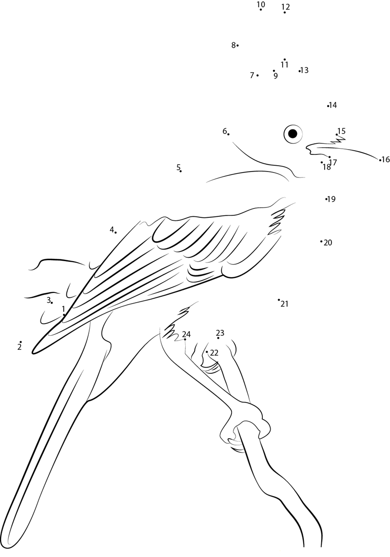 Hang On Tree Steller X27 S Jay printable dot to dot worksheet