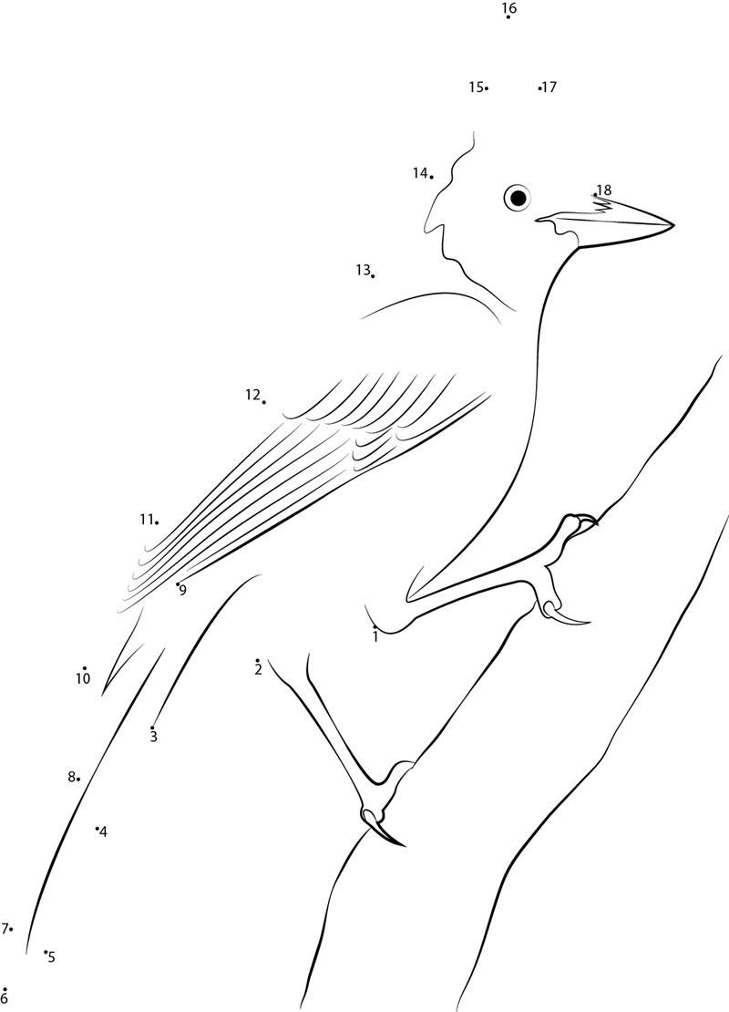 Steller X27 S Jay Sitting On Tree Branch printable dot to dot worksheet