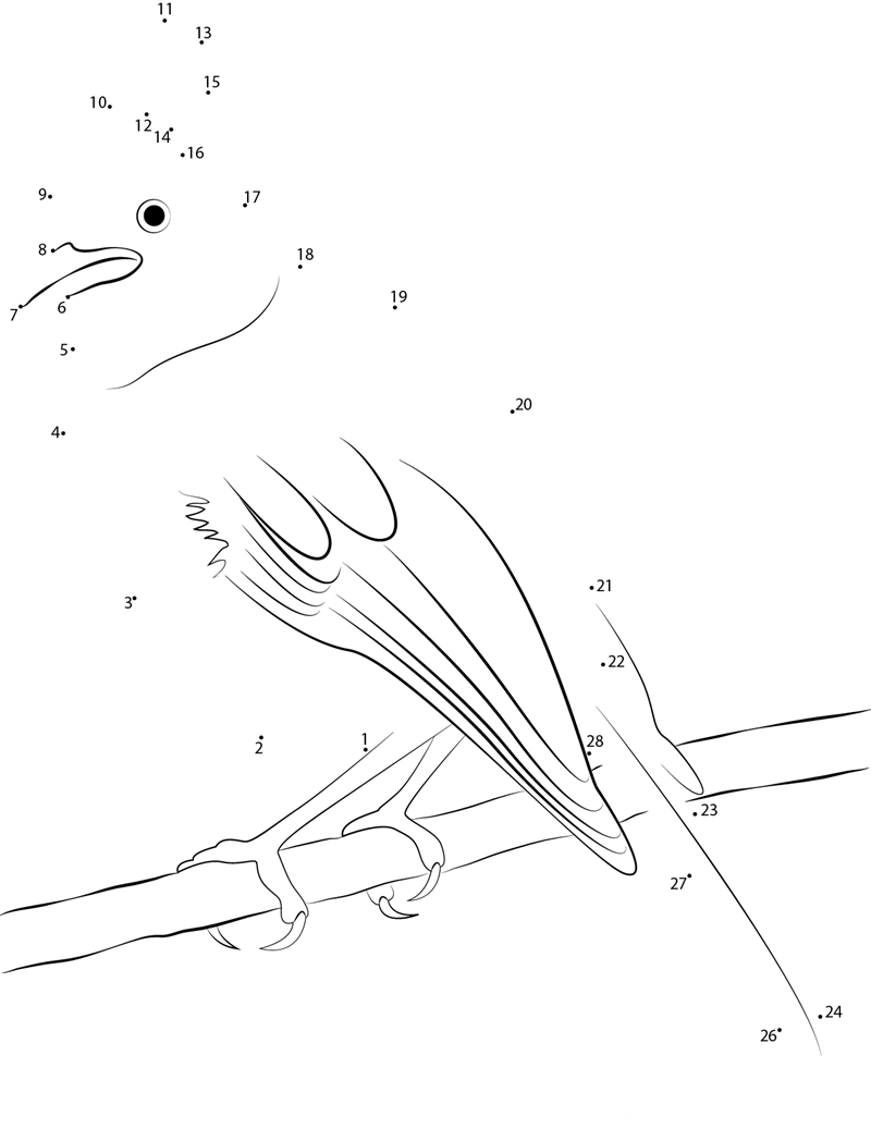 Wild Steller X27 S Jay printable dot to dot worksheet