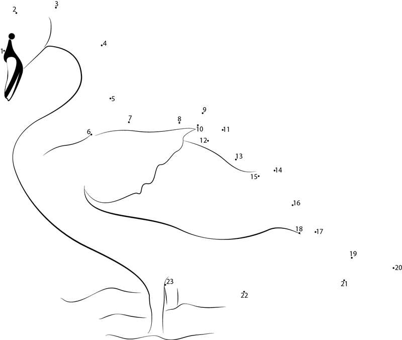 Beautiful Swan printable dot to dot worksheet