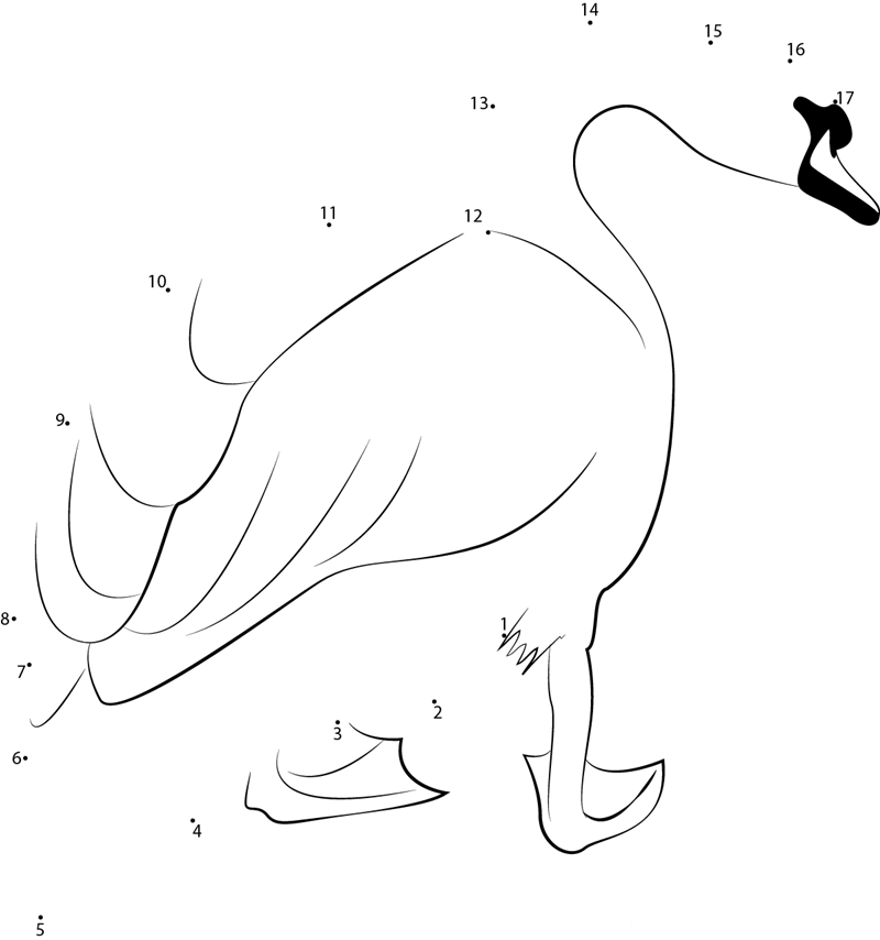 Cute Swan printable dot to dot worksheet