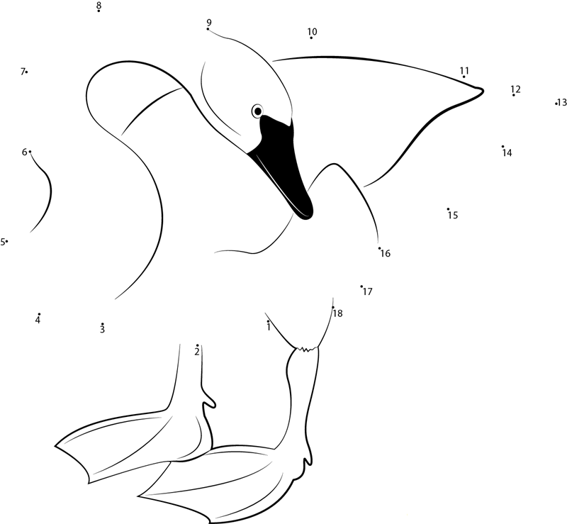 Cygnus Buccinator printable dot to dot worksheet