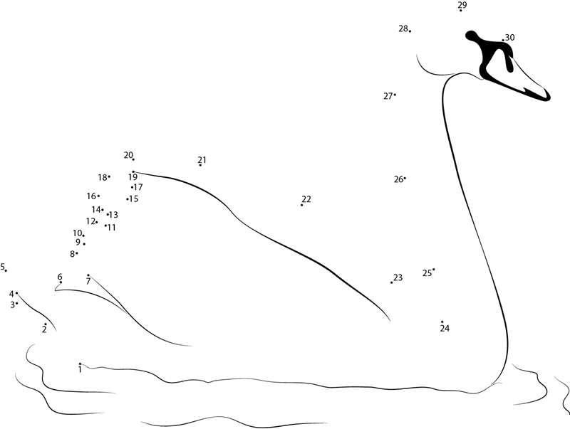 Mute Swan printable dot to dot worksheet