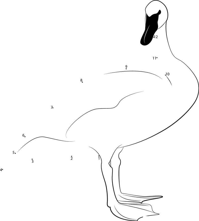 Standing Swan printable dot to dot worksheet