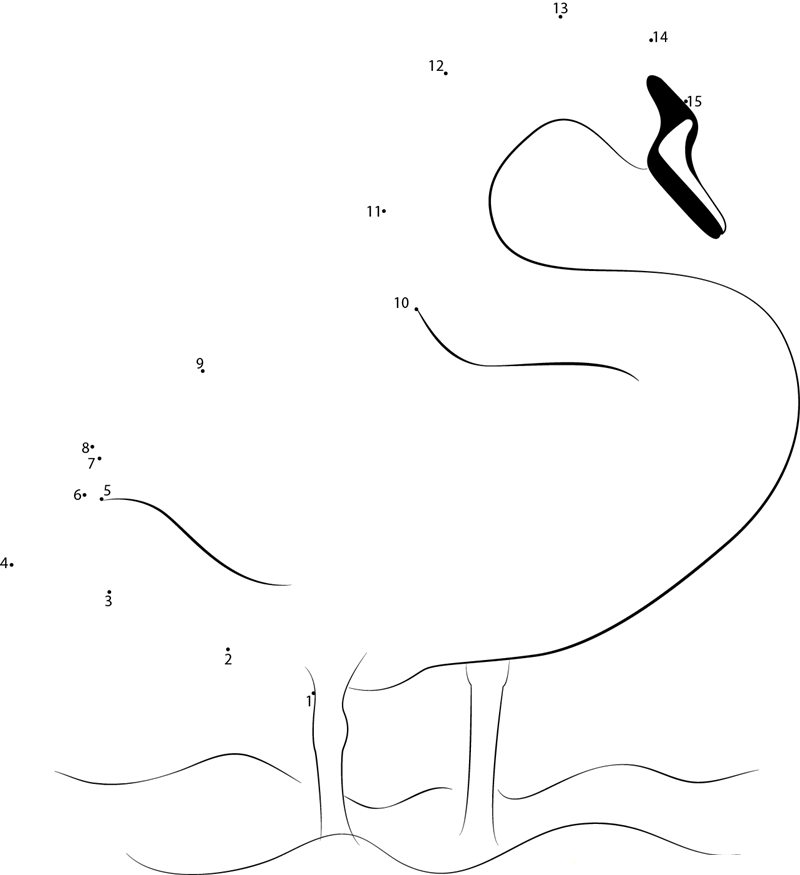 Swan Cygnus printable dot to dot worksheet