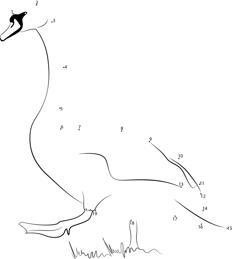 Swan Walking printable dot to dot worksheet