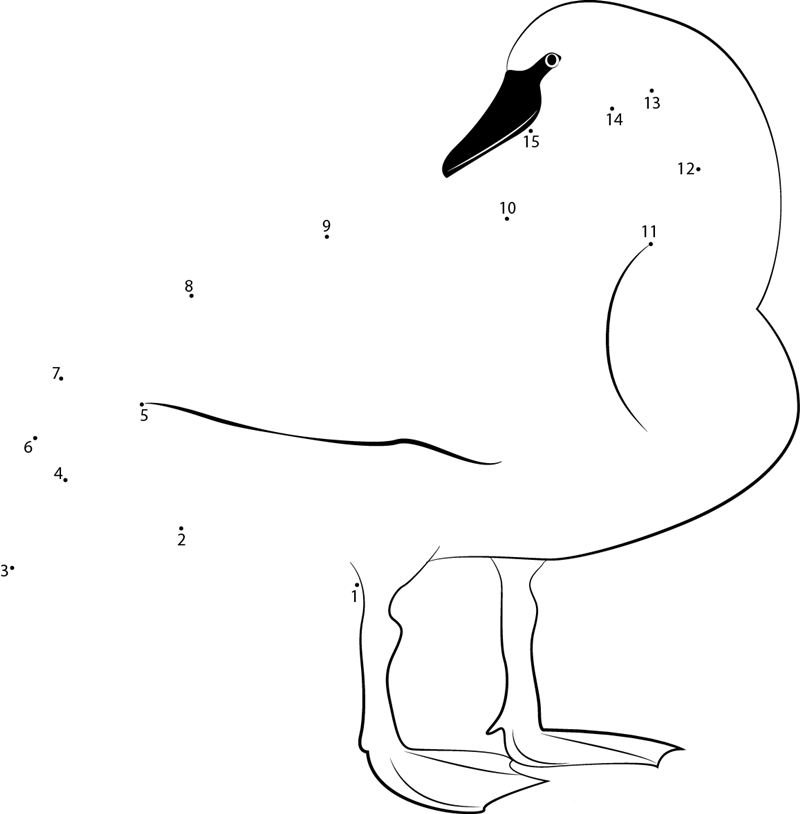 Trumpeter Swan printable dot to dot worksheet