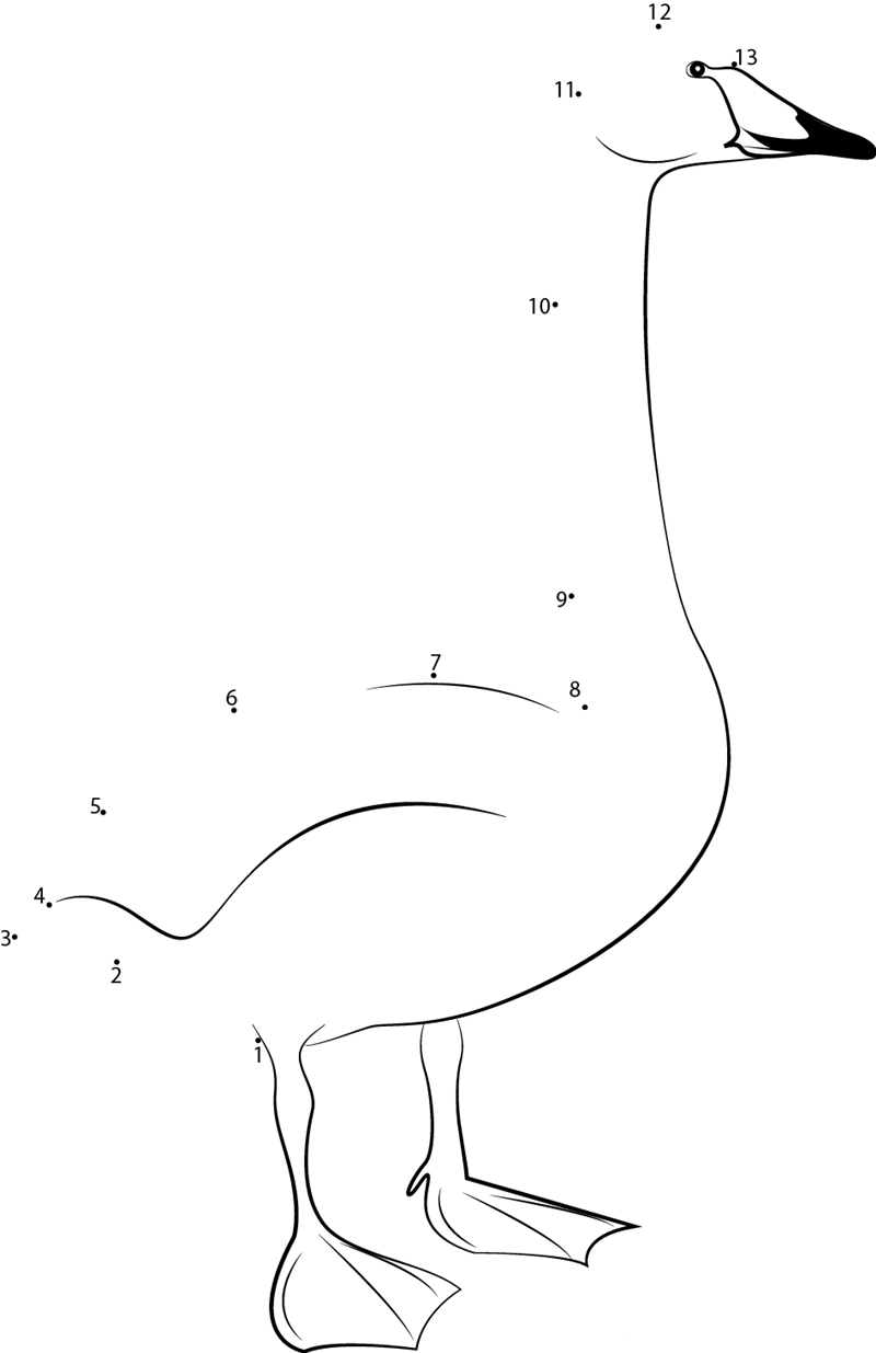 Whooper Swan printable dot to dot worksheet