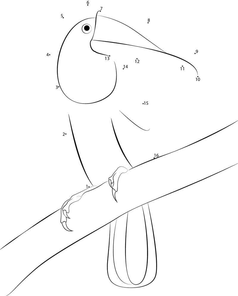 Adult Toucan printable dot to dot worksheet