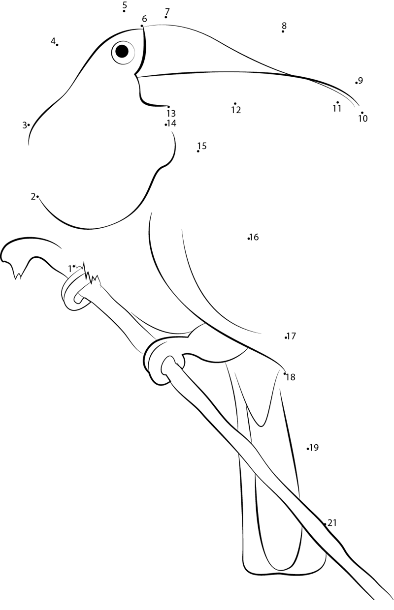 Amazon Jungle Toucan printable dot to dot worksheet