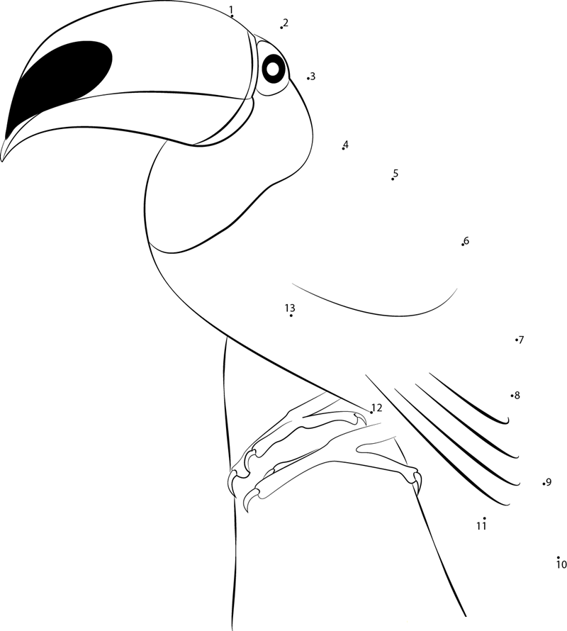 Beautiful Toucan Bird printable dot to dot worksheet