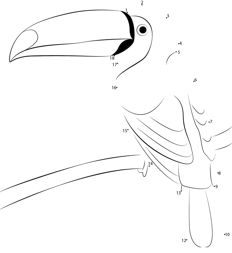 Black Mandibled Toucan printable dot to dot worksheet