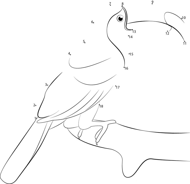 Bluethroated Toucanet printable dot to dot worksheet