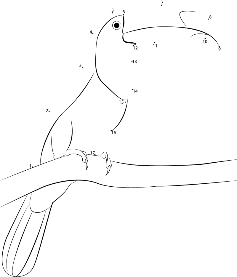 Chestnutmandibled Toucan printable dot to dot worksheet