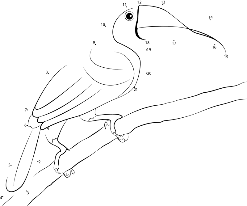 Choco Toucan printable dot to dot worksheet