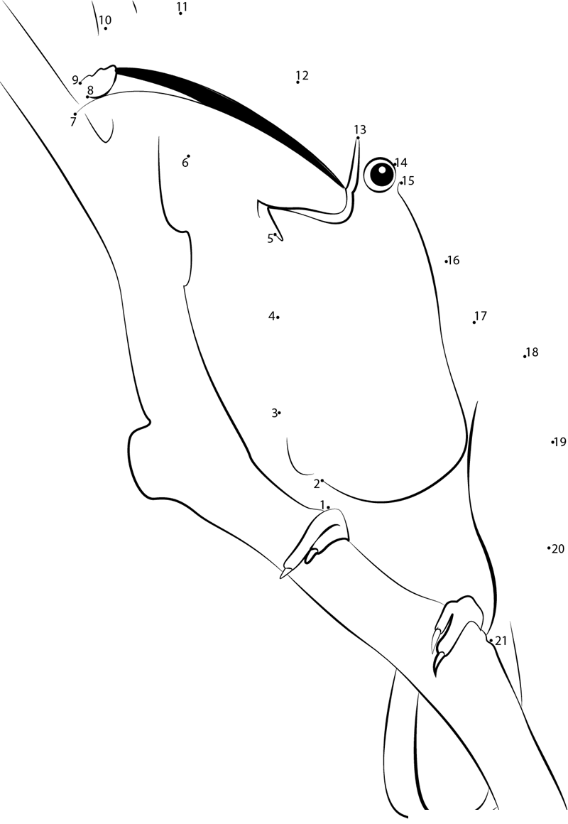 Close Up Of Toucan printable dot to dot worksheet