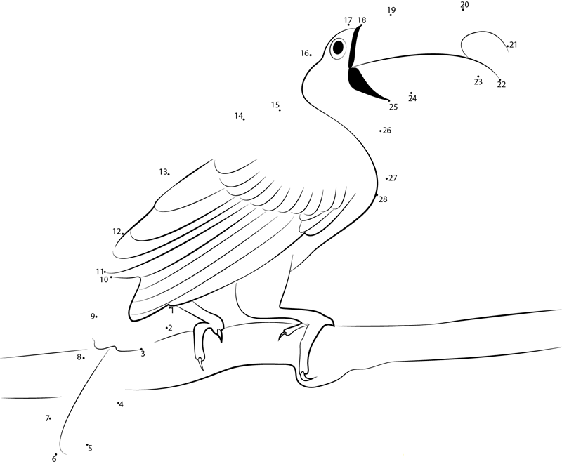 Female Toucan Bird printable dot to dot worksheet