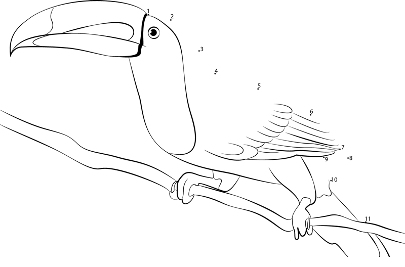 Greenbilled Toucan printable dot to dot worksheet