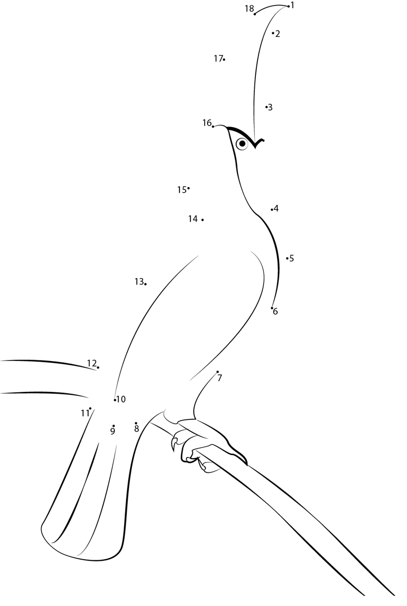 Look Up Toucan Bird printable dot to dot worksheet