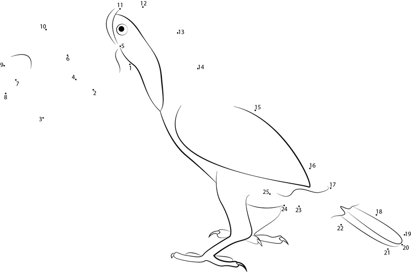 Male Toco Toucan printable dot to dot worksheet