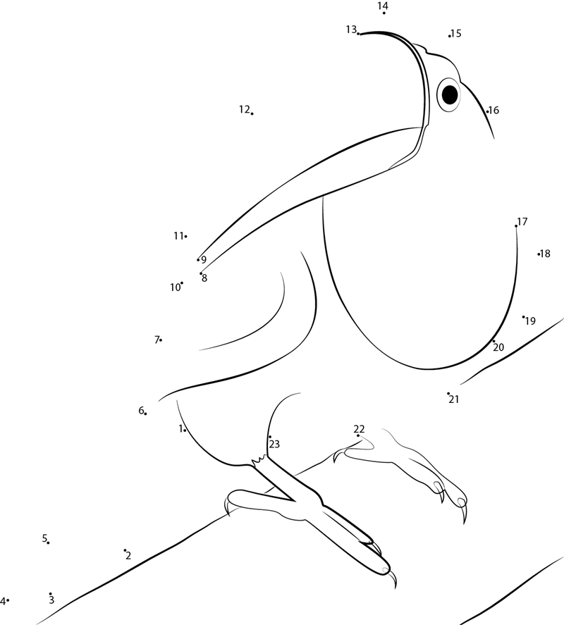 Ramphastos Vitellinus printable dot to dot worksheet