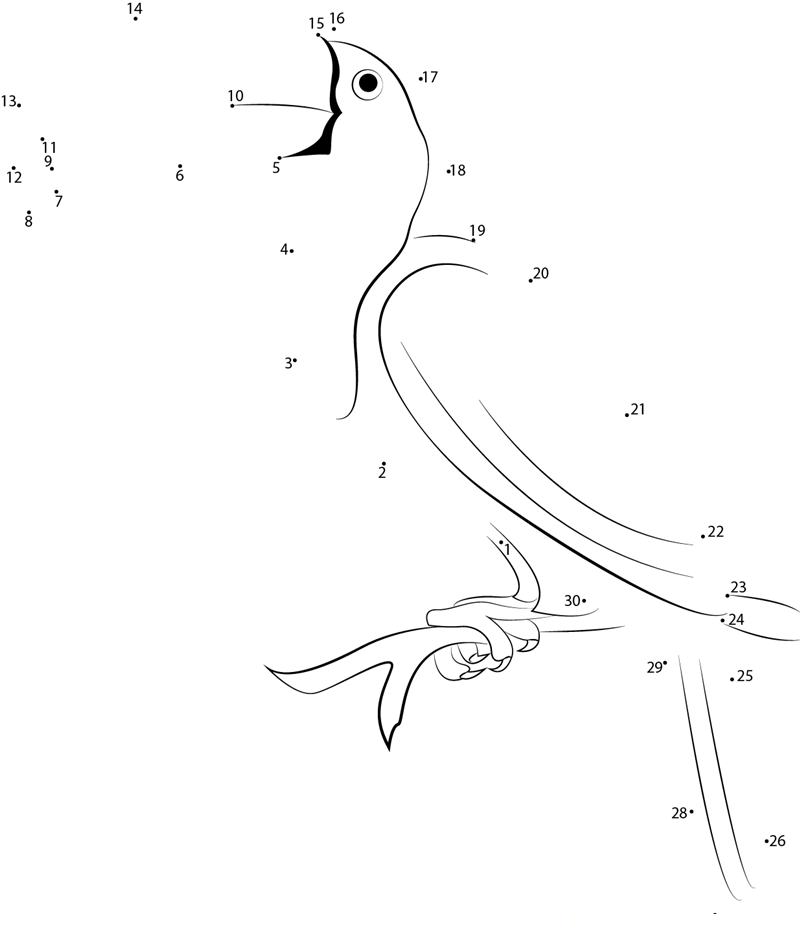 Simple Toucan Bird printable dot to dot worksheet