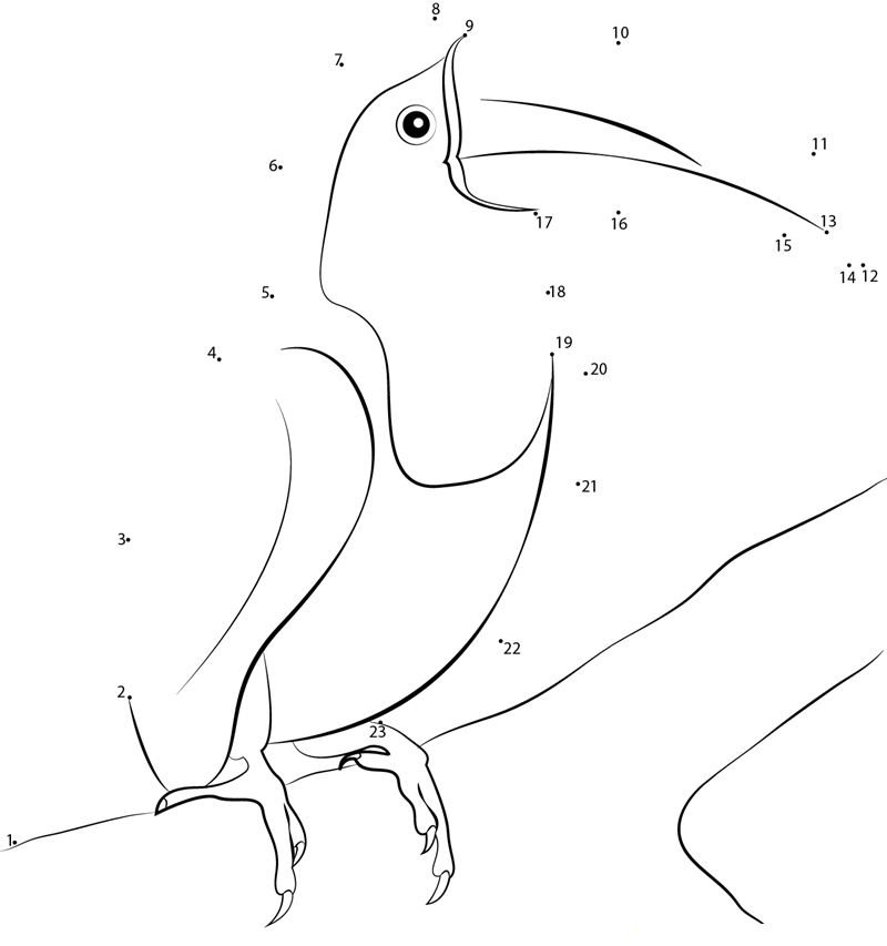 Sitting Toucan Bird printable dot to dot worksheet