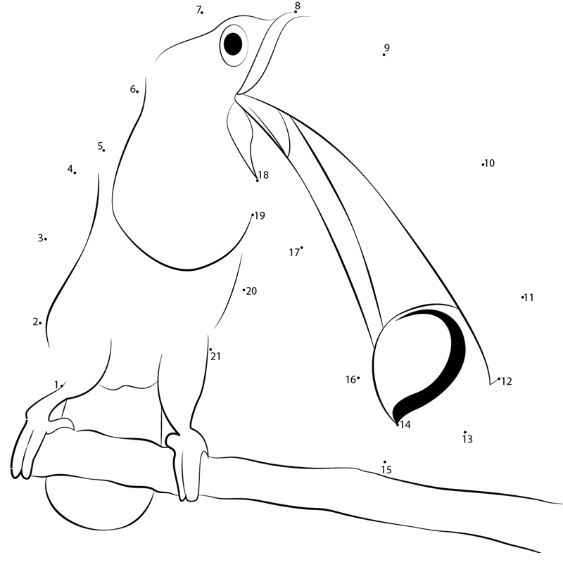 Sulfurbreasted Toucan printable dot to dot worksheet