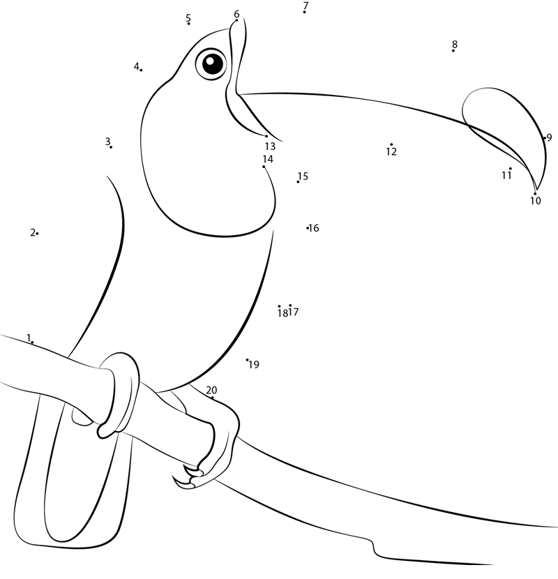 Toco Toucan Male printable dot to dot worksheet