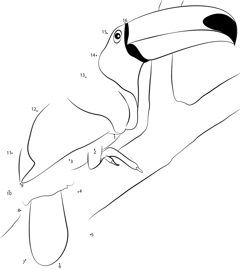 Toucan printable dot to dot worksheet