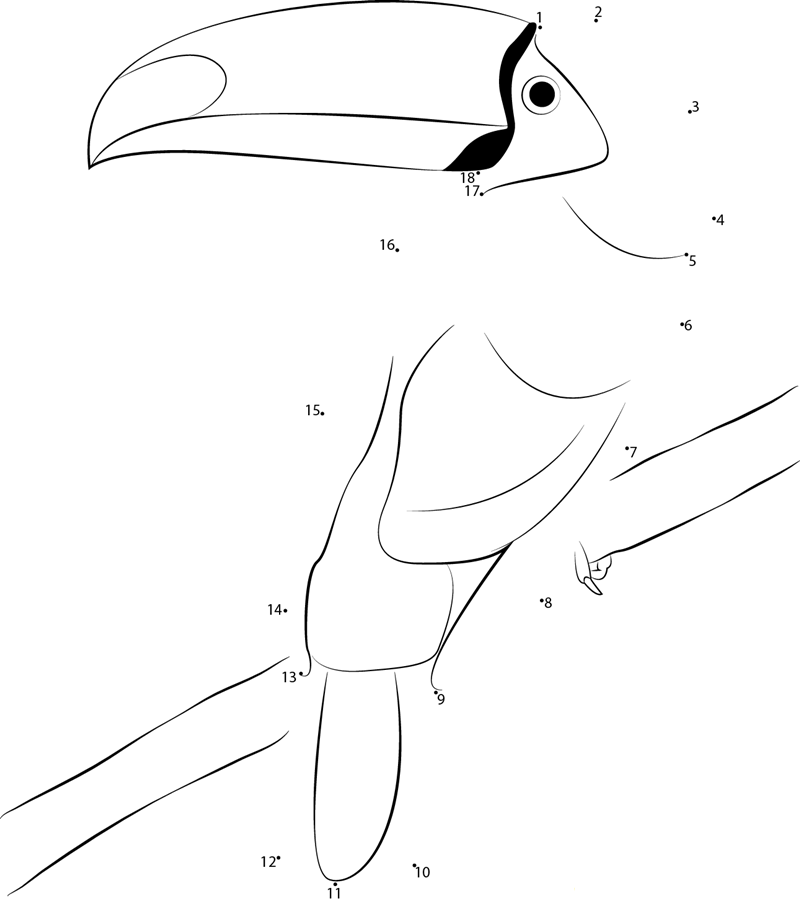 Toucan Bird Sitting On Tree Branch printable dot to dot worksheet