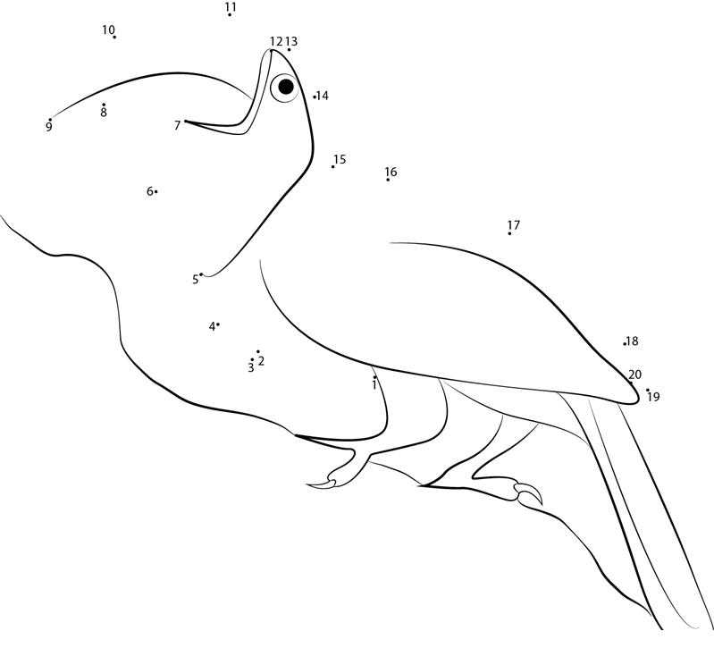 Toucan Look printable dot to dot worksheet