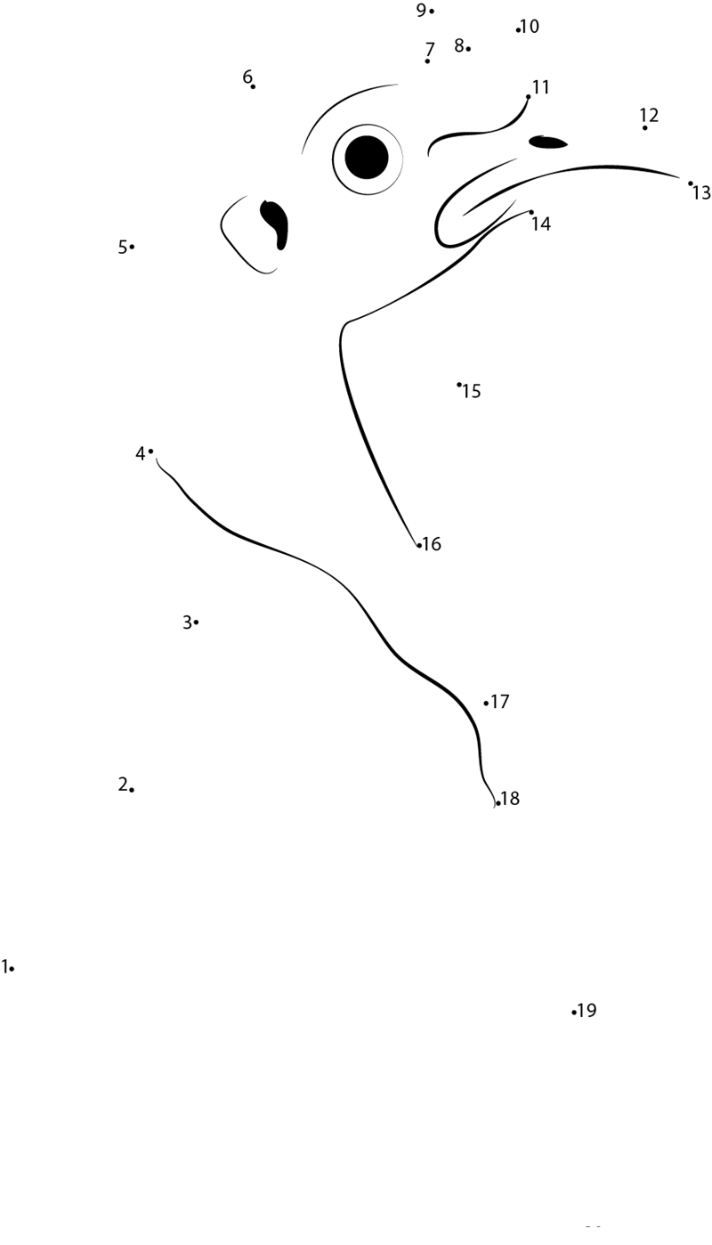 Close Up Of Turkey printable dot to dot worksheet