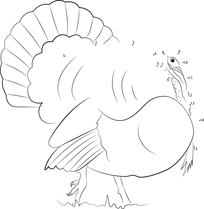 Cute Turkey Bird printable dot to dot worksheet