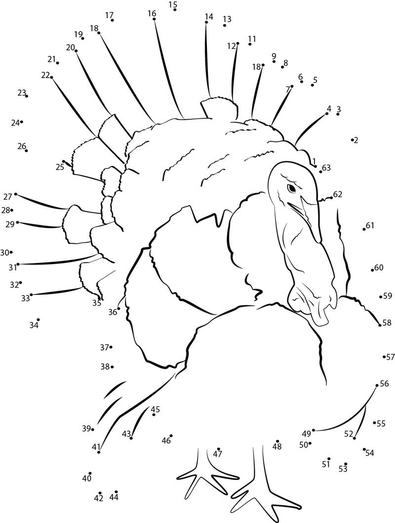 Exotic Bird Turkey printable dot to dot worksheet