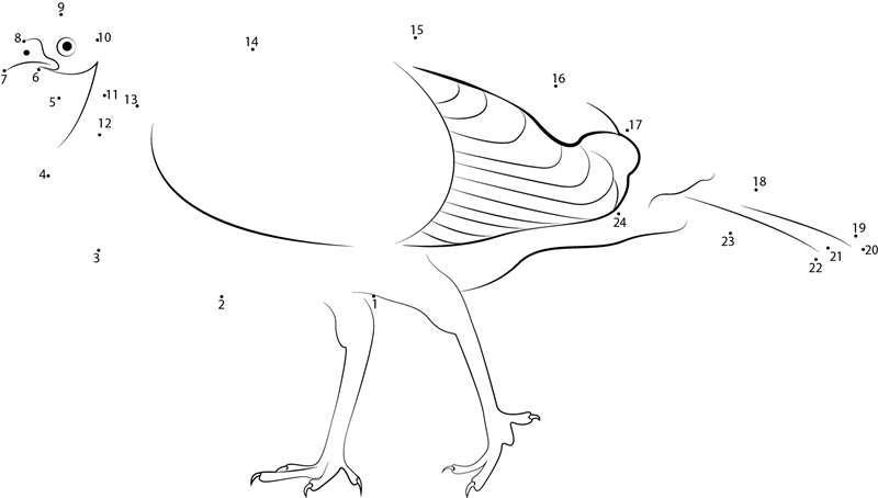 Female Turkey printable dot to dot worksheet