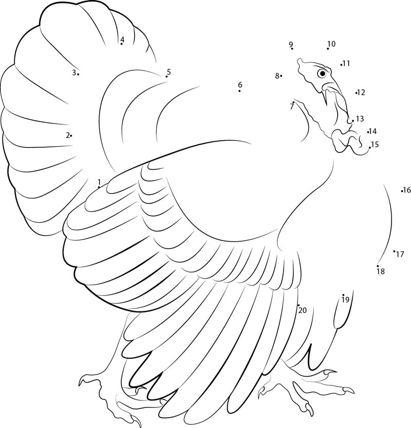 Walking Turkey printable dot to dot worksheet