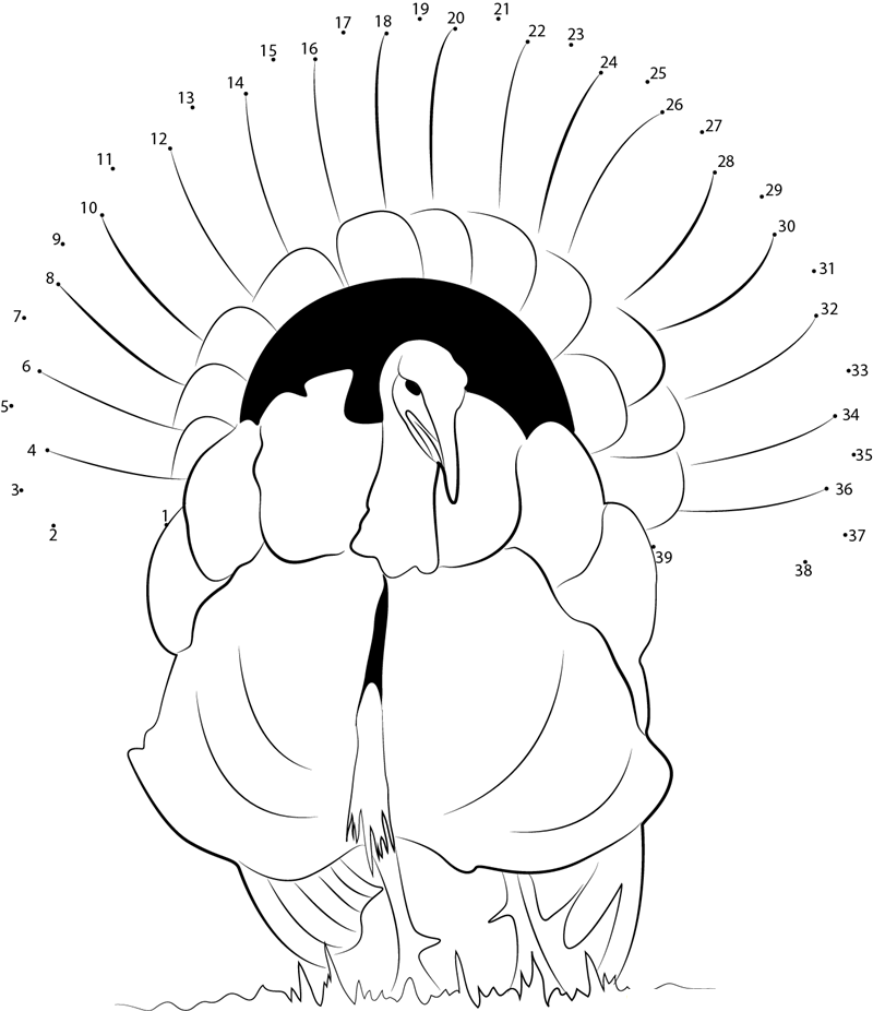 Wild Male Turkey printable dot to dot worksheet