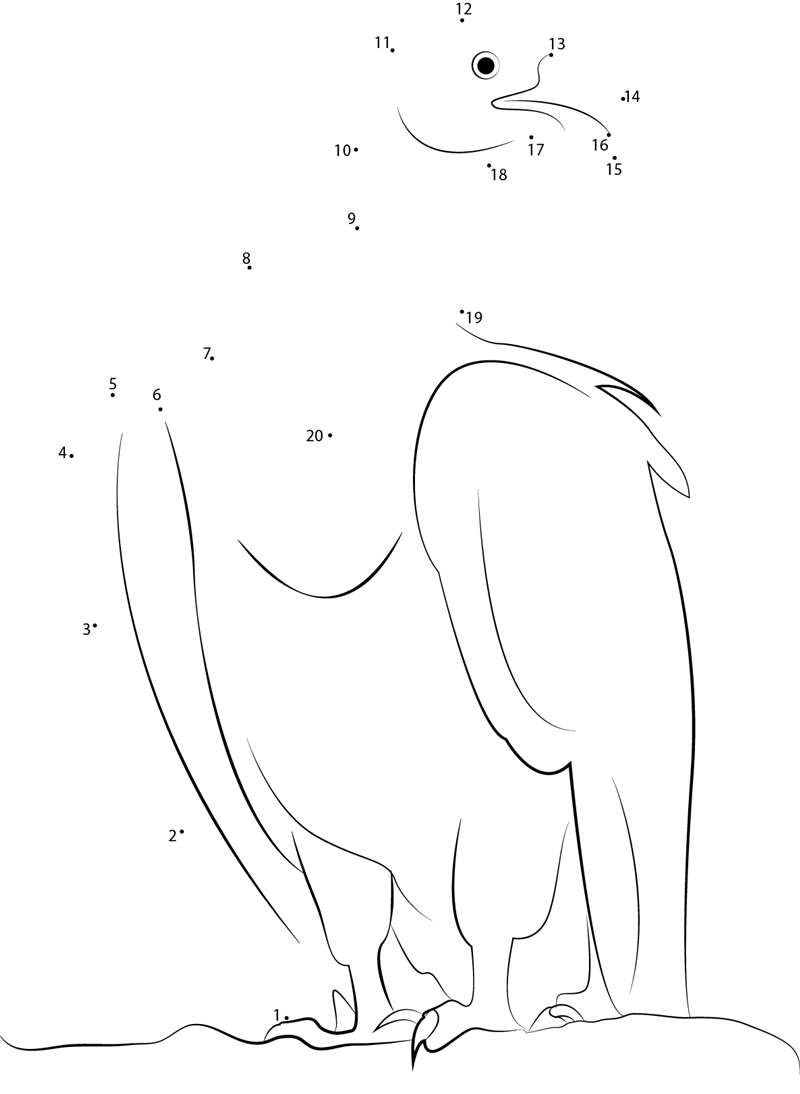 Vulture Bird Resting printable dot to dot worksheet