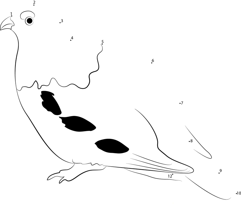 Fat Willow Ptarmigan printable dot to dot worksheet