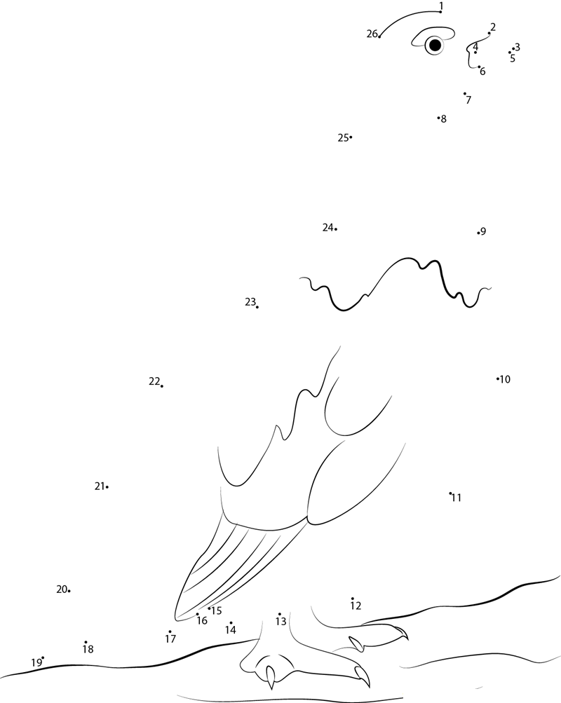 Female Willow Ptarmigan printable dot to dot worksheet