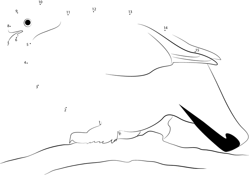 Rock Ptarmigan Alaska Range printable dot to dot worksheet