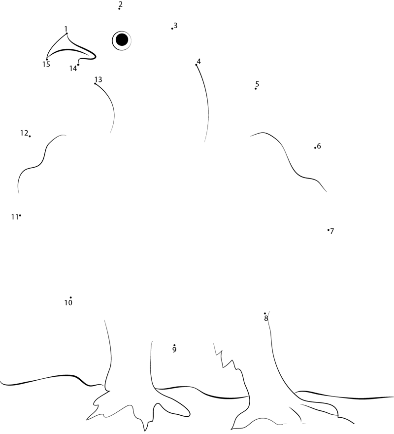 Simple Willow Ptarmigan printable dot to dot worksheet