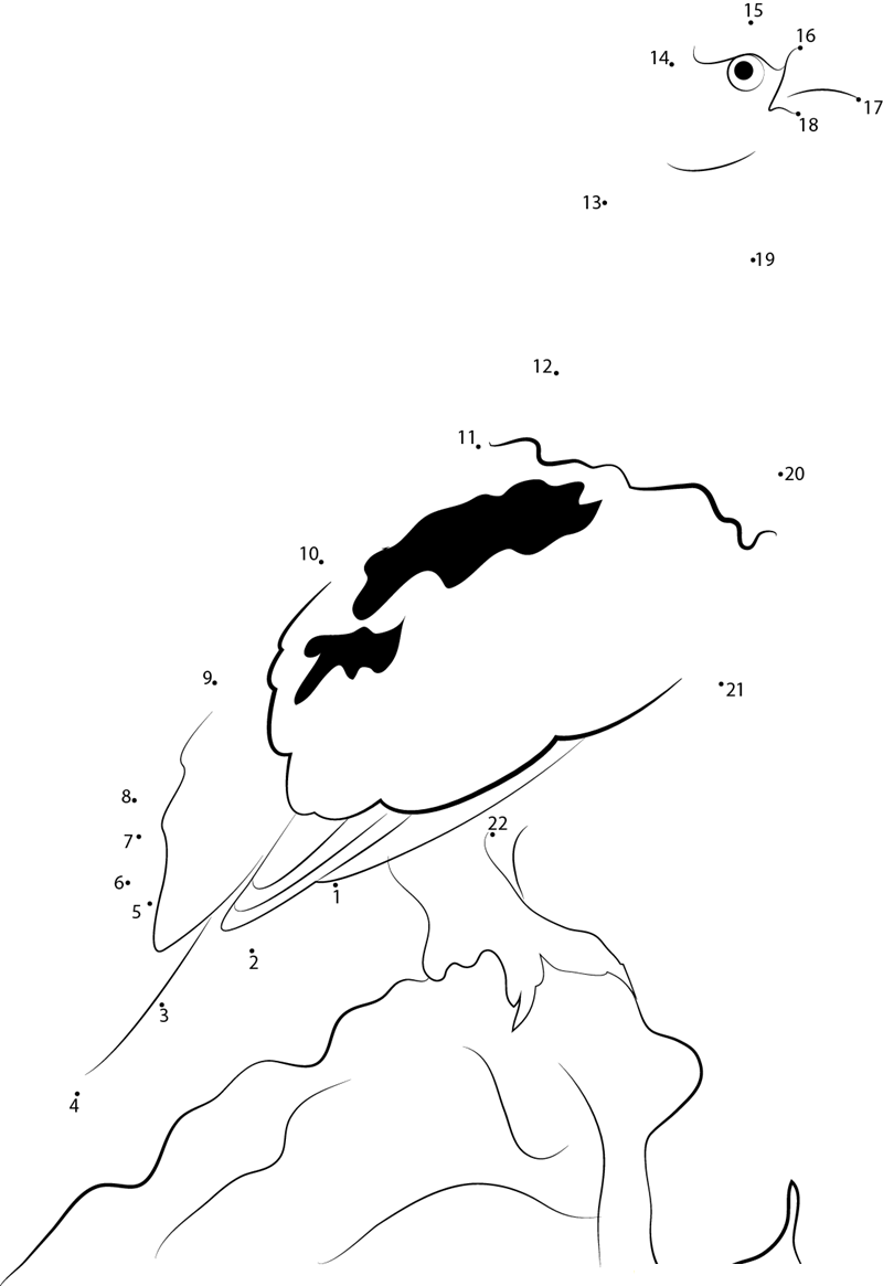 Stand On Hill Willow Ptarmigan printable dot to dot worksheet