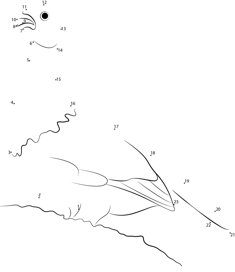 Willow Ptarmigan Calling printable dot to dot worksheet